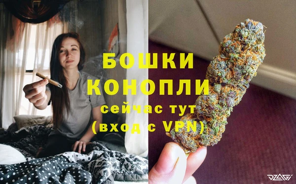 прущие крисы Мамадыш