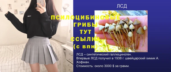 герыч Кодинск