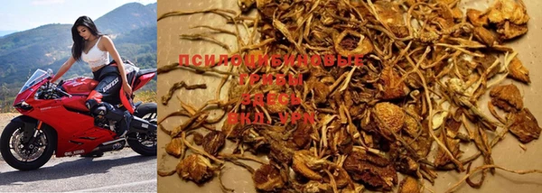 прущая мука Козловка