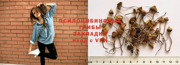 винт Снежинск